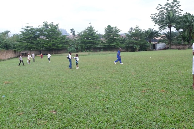 Playing field